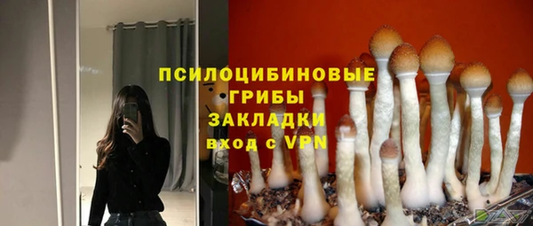мдпв Верхний Тагил