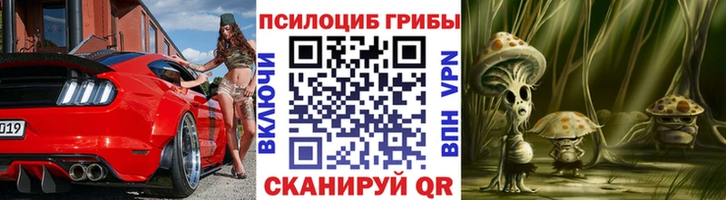 наркошоп  Архангельск  Псилоцибиновые грибы GOLDEN TEACHER 